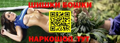 крисы Вышний Волочёк