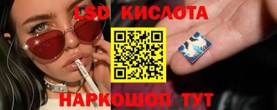крисы Вышний Волочёк