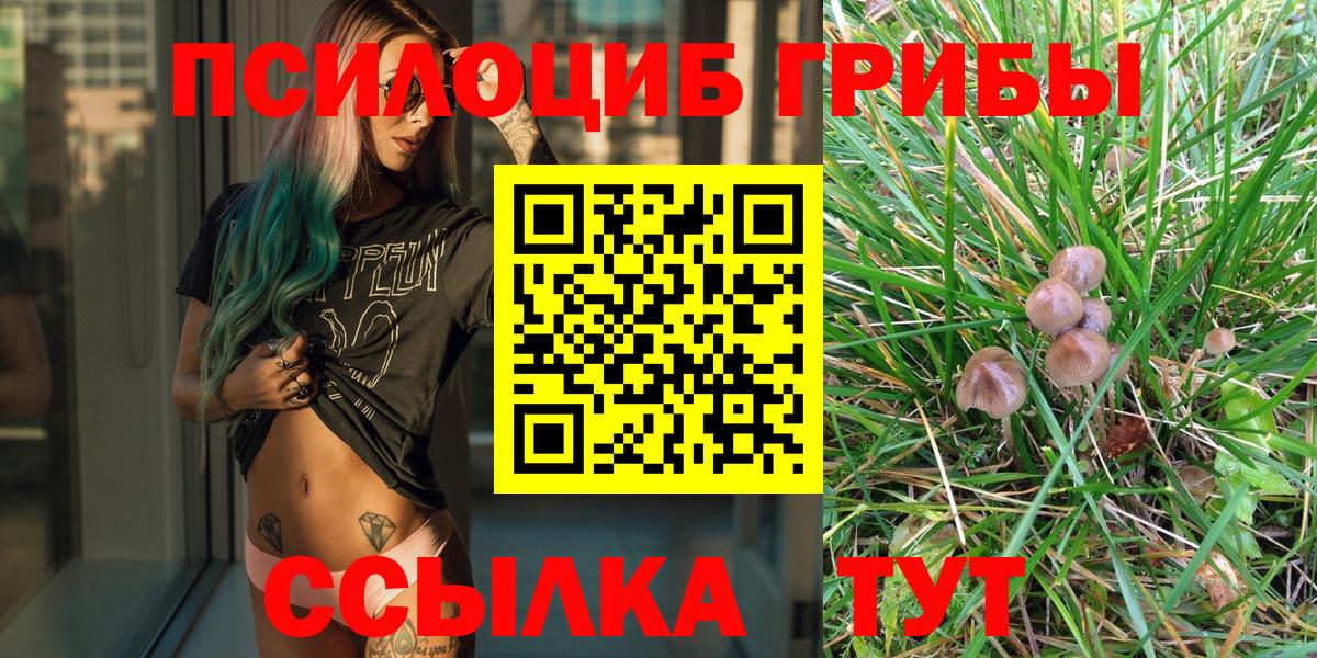 Псилоцибиновые грибы Cubensis  Вход с VPN  Псилоцибиновые грибы Psilocybine cubensis  Новочебоксарск 